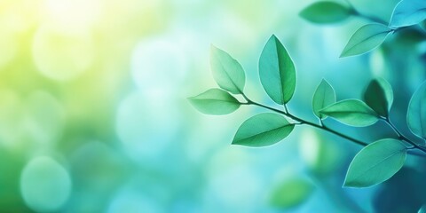 Aufkleber - Abstract view of nature featuring leaves against a blurred blue-toned background with copy space, suitable for a natural green plants landscape, ecology, and fresh wallpaper concept.