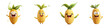 © Food and drink - 3D cartoon corn character isolated on white background. Mix Collection Png.