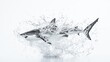 © jobim - Dynamic shark jumping out of water with splash effect, PNG style transparent. white background. for ocean and marine life designs. di cut.