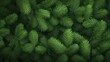 © NFTNexus - Lush green fir tree branches creating a vibrant and festive wallpaper background, perfect for holiday themes and seasonal decorations.