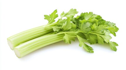 Wall Mural - a fresh crisp celery stalk with its pale green color and crunchy texture, each celery’s vibrant colo