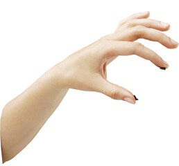 Poster - A human hand in a grasping position, fingers slightly bent, isolated on a white background. The hand is captured in a neutral skin tone, close-up. Concept of holding, grasping, or reaching
