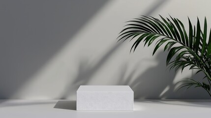 Wall Mural - Minimalist White Product Display Platform with Tropical Plant Shadows