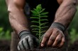 © Zaleman - A young man works at a garden center touching Christmas tree needles