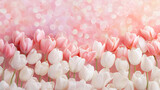 beautiful field of pink and white tulips with soft bokeh background creates serene and joyful atmosphere