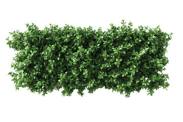 Wall Mural - Top view of a hedge row isolated or on white background 3d render png. Architecture plan