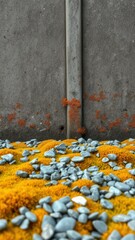 Canvas Print - Grey stones rest on vibrant yellow moss near a weathered concrete wall