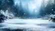 © HQAsset - A Winter Wonderland with Snow Falling on a Snowy Forest Floor and Pine Trees