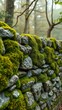 © Michael - Mossy stone wall in a forest during autumn
