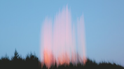 Wall Mural - Sunset over trees