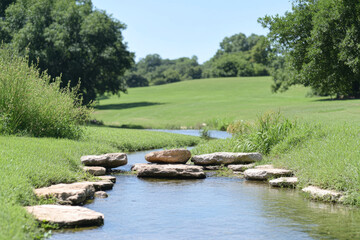 Wall Mural - A small stream of water flows through a grassy field