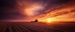 © Terablete - Tractor working in golden fields at sunset with dramatic sky in rural landscape