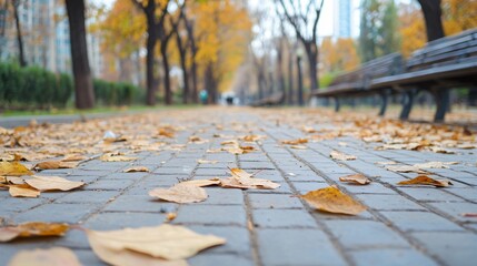 Wall Mural - autumn scene in a city park: yellow leaves scattered on the path, with benches and trees in the back