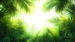© Bejo - Lush tropical foliage with bright sunlight.
