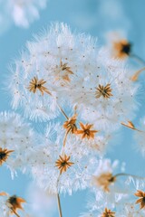 Canvas Print - A detailed view of a cluster of white blooms