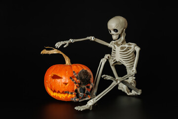 Poster - Tarantula on pumpkin. Spider isolated on black background. Skeleton and animal. Halloween holiday concept