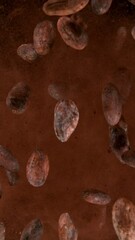 Poster - Super Slow Motion of Falling Group of Cocoa Beans. Falling Down into Cocoa Powder. Filmed on High Speed Cinema Camera, 1000fps.