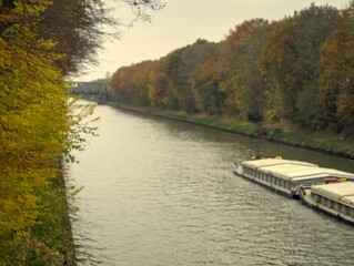 Wall Mural - a landscape in autumn