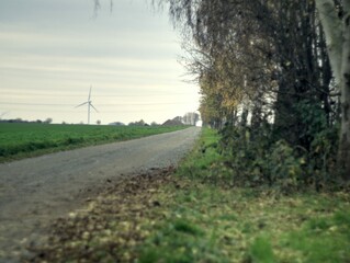 Wall Mural - a landscape in autumn