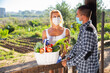 © JackF - Young woman man neighbors wearing protective face masks talking at backyard garden about harvesting season