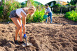 © JackF - Young woman farmer caring for sprouts on the plantation