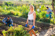 © JackF - Woman engaged in gardening in sunny day, carrying wheelbarrow with leaves
