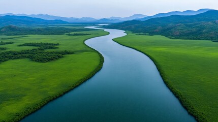 Poster - Serene River Winding Through Verdant Valley: A mesmerizing aerial view captures a serene river snaking through a lush valley, showcasing nature's tranquil beauty.