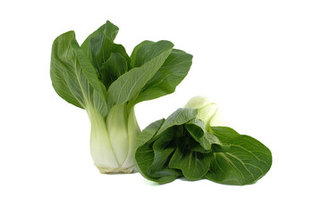 Wall Mural - Fresh Bok Choy Isolated on White Background for Healthy Eating