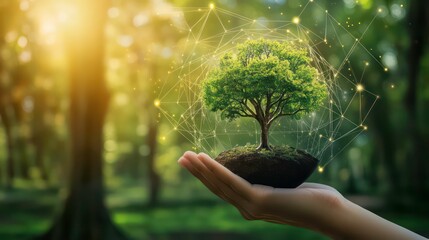 Wall Mural - a hand holds a small tree sapling with a glowing network of connections around it, representing the 