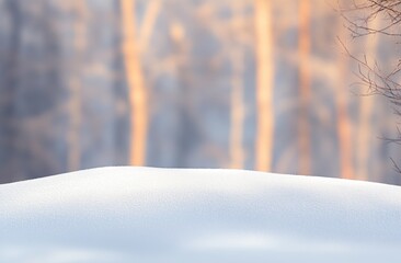 Poster - A serene winter landscape featuring a smooth blanket of snow with blurred trees in the background.