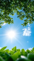 Wall Mural - International day of clean energy concept, A vibrant sky with scattered clouds and sunlight shining through lush green leaves creates a refreshing nature scene.