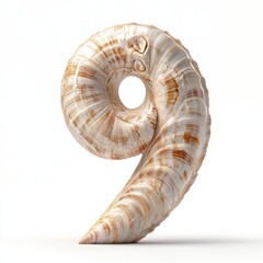 Wall Mural - a stylized number 9 shaped like a seashell, showcasing natural patterns and textures.