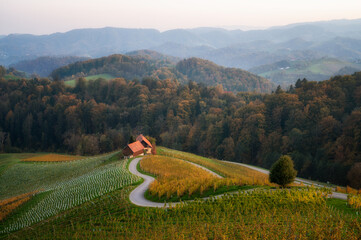 Wall Mural - amazing sunset landscape of the picturesque, autumn-covered hills and the famous heart-shaped road n