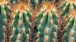 © peerawat - A close-up of cactus needles, highlighting their sharpness and the plant unique texture