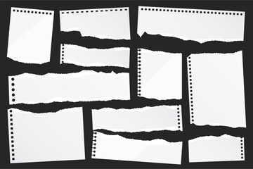 Wall Mural - ripped paper strips. realistic crumpled paper scraps with torn edges. shreds of notebook, book or ol