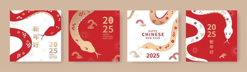 a set of chinese new year card designs celebrating the 2025 year of the snake, featuring traditional