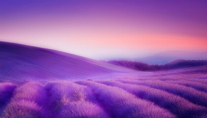 Wall Mural - Serene sunrise over a purple lavender field.