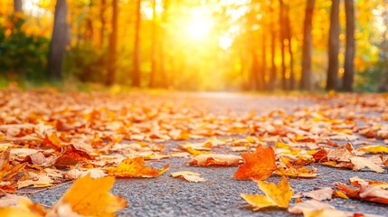 Wall Mural - sunset in the park: fall leaves create a serene and picturesque scene with vibrant hues of yellow, o