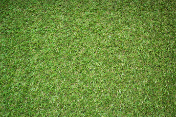Canvas Print - Artificial Green Grass texture background