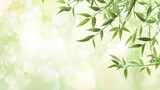 Lush green bamboo leaves delicately framed against a soft, dreamy blurred background with gentle light bokeh effects.