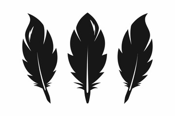 Wall Mural - Bird feather silhouette vector set, bird feather icon, vector illustration isolated on white background