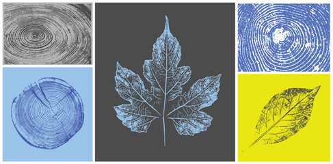 Decorative leaf silhouette prints and wood block prints. Monotone florescent yellow and gray botanical tree rings impression print.