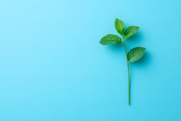 Canvas Print - green leaf on a green background