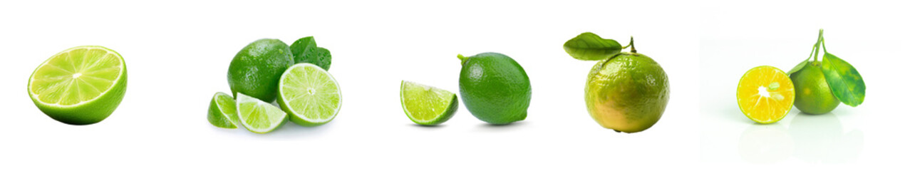 Wall Mural - sliced lime fruit, fresh green lime fruit, isolated white background.