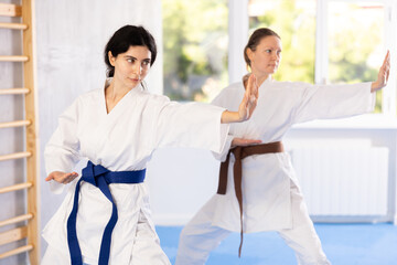 Wall Mural - Young woman and adult woman in kimono training karate techniques in studio