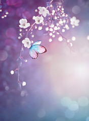 Wall Mural - blossom