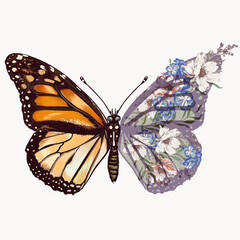 Poster - Fashion illustration vector beautiful monarch butterfly with hand drawn flowers