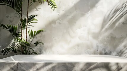 Canvas Print - A serene interior scene featuring a marble table and lush green plant shadows against a light wall.