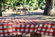 © masud - Red and White Checkered Picnic Tablecloth in a Sunny Park Setting