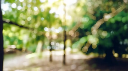 Wall Mural - Green nature forest  tropical wood with sunlight bokeh abstract background.